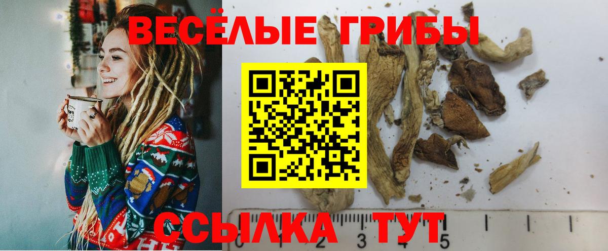Псилоцибиновые грибы прущие грибы Серов