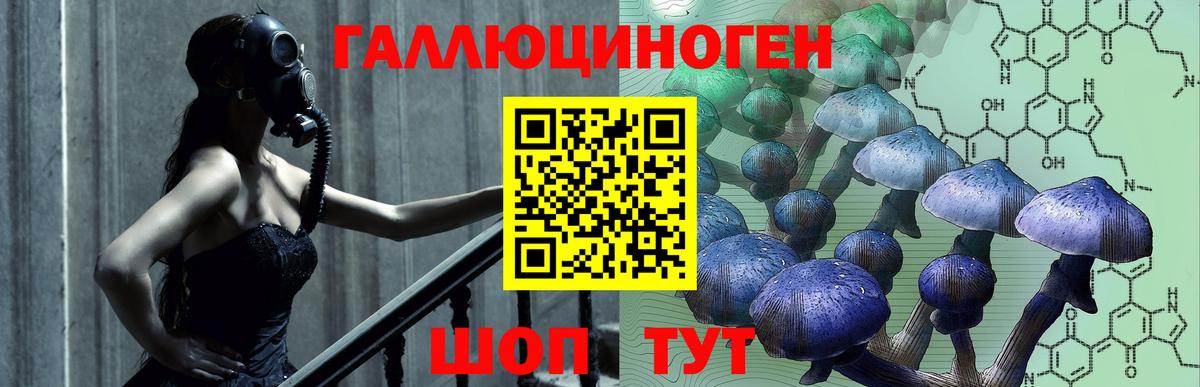 Галлюциногенные грибы GOLDEN TEACHER  цена наркотик  Серов  Вход с VPN 